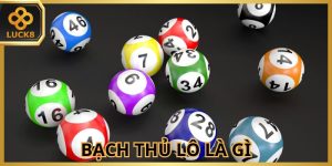Bạch thủ lô là gì